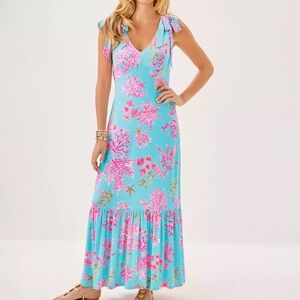 NWT Lilly Pulitzer Aquinnah Maxi Dress Size 6 Pink Blue